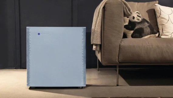 Finding the Best Air Purifier in India: Popular Air Purifiers Compared